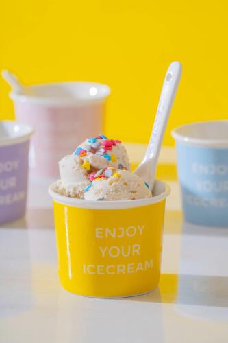 Blush 4'lü Dondurma Kase Seti - 200 ml - Acar