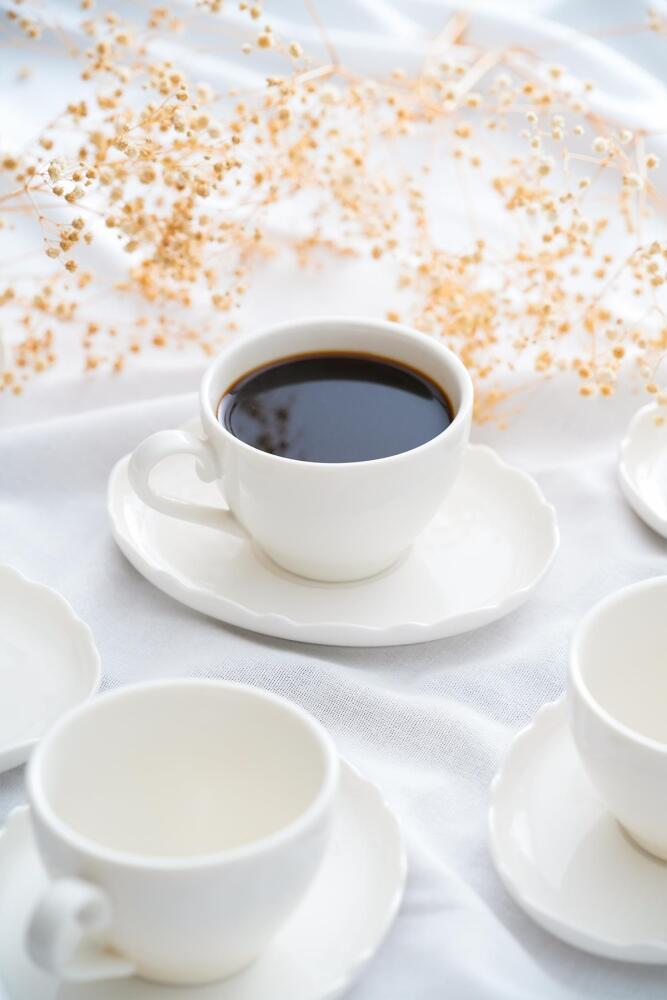 Nirvana 6 Person Porcelain Tea-Coffee Cup Set - 210 ml - 6