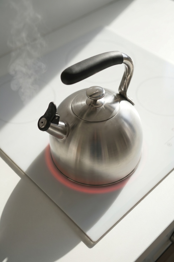 SteamCall Paslanmaz Çelik Düdüklü Su Isıtıcısı İnox - 3 L - 2