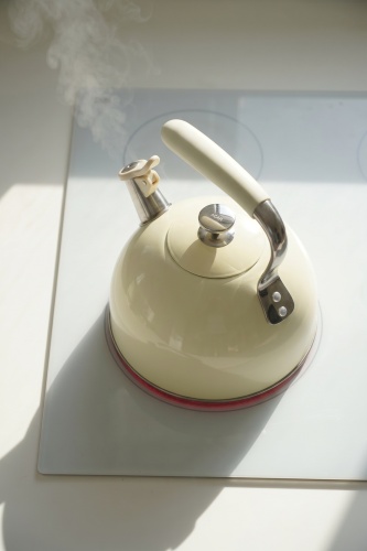 SteamCall Paslanmaz Çelik Düdüklü Su Isıtıcısı Krem - 3 L - 2