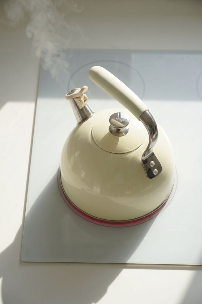 SteamCall Paslanmaz Çelik Düdüklü Su Isıtıcısı Krem - 3 L - 2