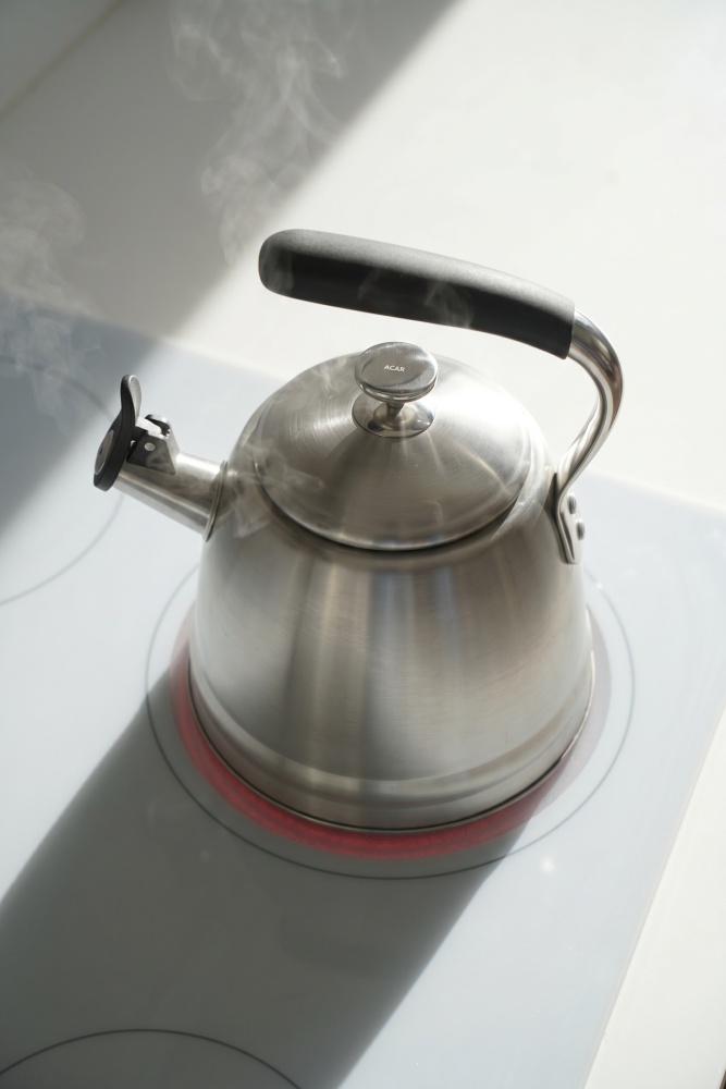 TeaTime Paslanmaz Çelik Düdüklü Su Isıtıcısı İnox - 3 L - 2