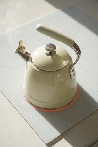 TeaTime Paslanmaz Çelik Düdüklü Su Isıtıcısı Krem - 3 L - 2