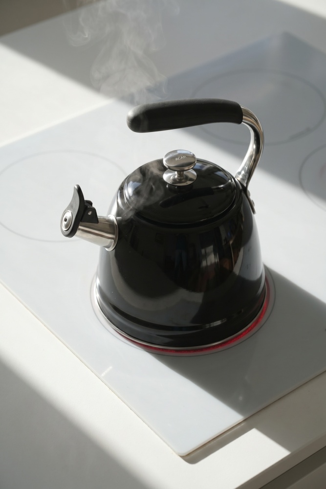 TeaTime Paslanmaz Çelik Düdüklü Su Isıtıcısı Siyah - 3 L - 2